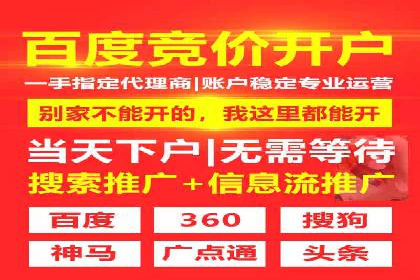 搜索引擎竞价推广实战：行业领先企业的成功秘诀